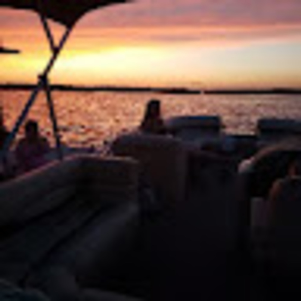 Meet your Posher, Dominique